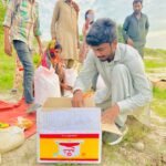 262e124a e36d 494c 9b7b 9136a270214d