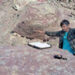 477247071 930034219294684 9097081317611502749 n